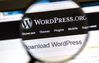 WordPress Plugins